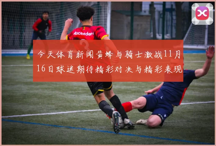 今天体育新闻黄蜂与骑士激战11月16日球迷期待精彩对决与精彩表现